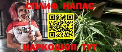 стаф Бузулук