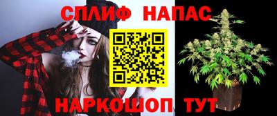 ALPHA PVP Будённовск