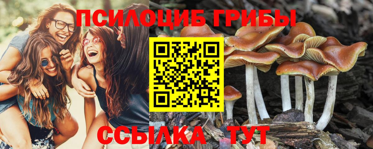 Галлюциногенные грибы Psilocybe  Вход с VPN  Псилоцибиновые грибы MAGIC MUSHROOMS  Мценск 